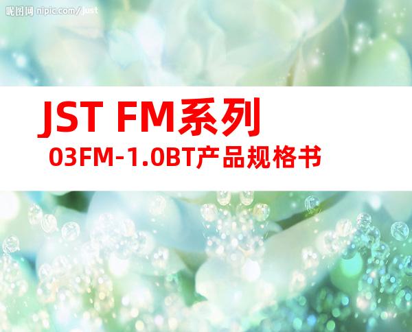 JST FM系列 03FM-1.0BT产品规格书